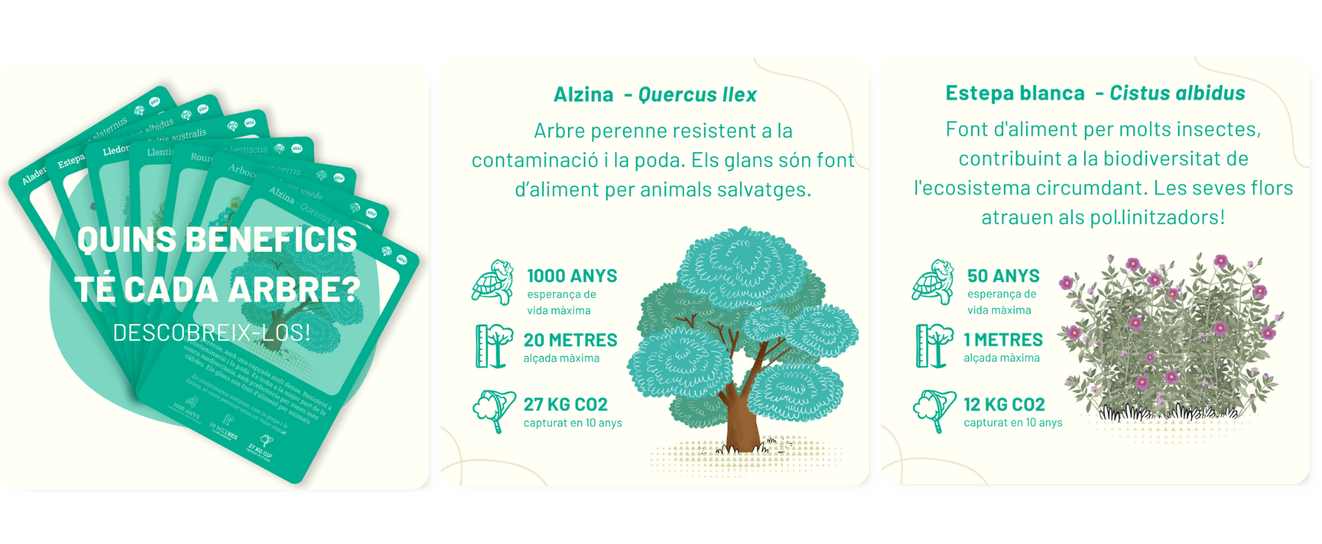 Beneficis de plantar arbres a les ciutats