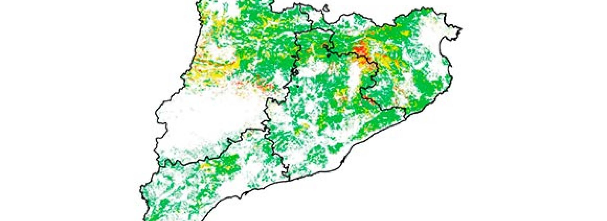 Vulnemap Catalunya - Lleu