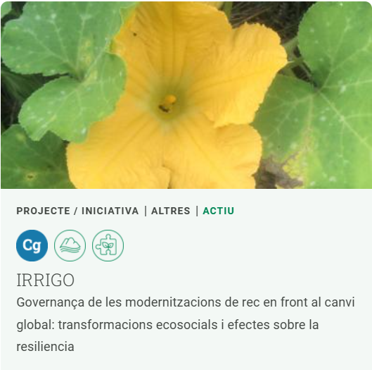 Irrigo