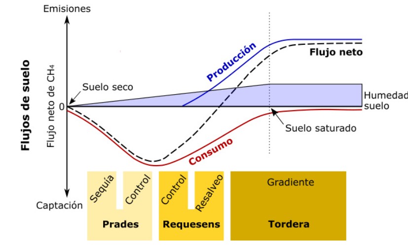 Memed esquema 1