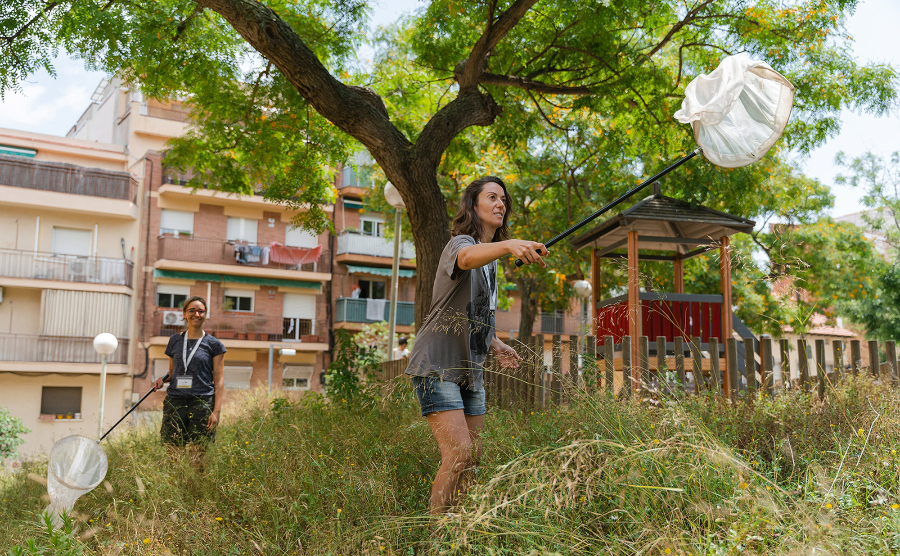 Yolanda Melero caçant papallones als parcs urbans de Barcelona, uBMS