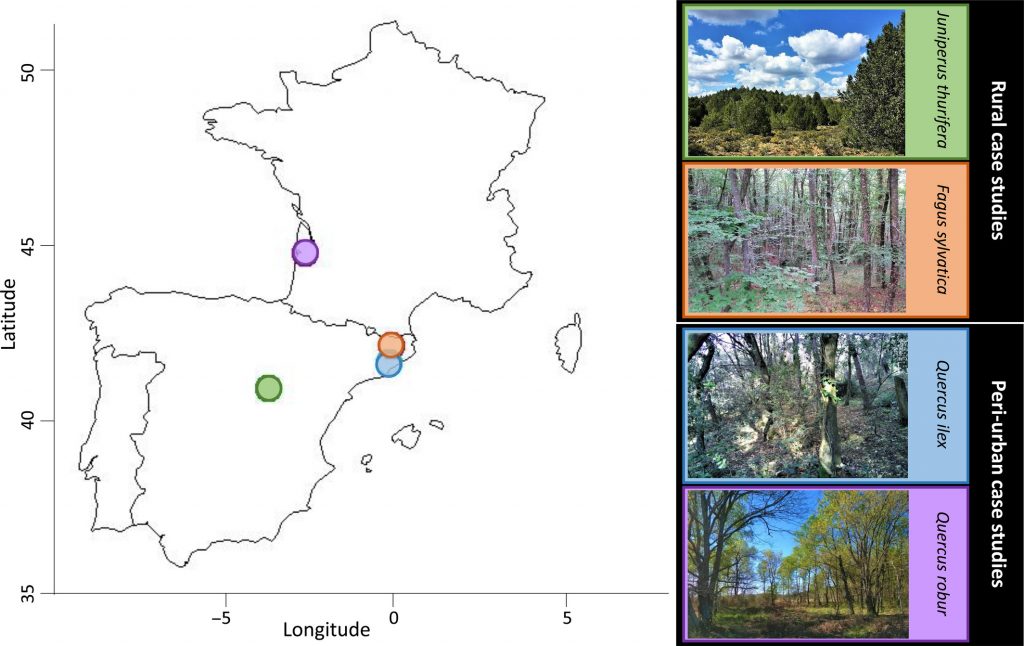 Mapa con la ubicación de los cuatro estudios de caso, dos rurales y dos periurbanos, en España y Francia. Fuente: Martín-Forés, I, Magro, S, Bravo-Oviedo, A, et al. Spontaneous forest regrowth in South-West Europe: Consequences for nature’s contributions to people. People Nat. 2020; 2: 980– 994. https://doi.org/10.1002/pan3.10161