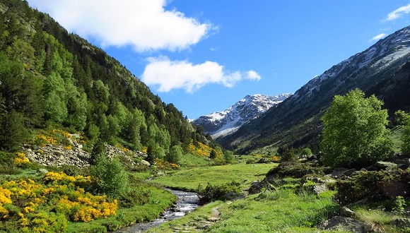 Els Pirineus. Foto: EarthWatch