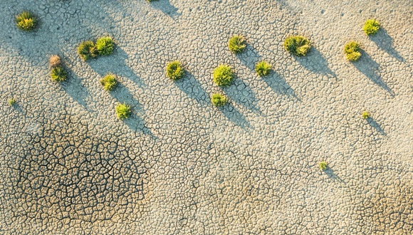 Indicador capaciad adaptación cambio climático