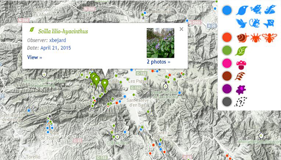 Els color de la llegenda representen els diferents grups d'organismes o taxons.