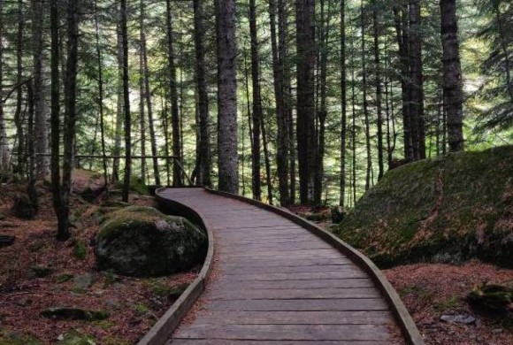 Camí adaptat al Parc Natural d'Agüestortes