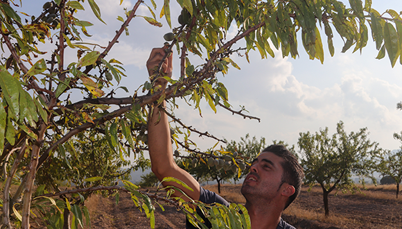 Foto: Asociació d'agricultura regenerativa, AlvelAl.