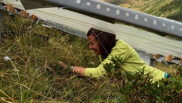 Alba Anadon Rosell, CREAF postdoc researcher