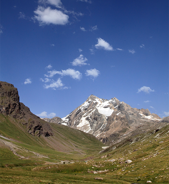 Zona dels Alps on s’ha fet el seguiment de la població de marmotes. Autors: Carole i Denis Favre-Bonvin