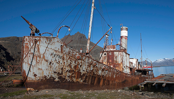 Balener abandonat amb canyó arponer a la proa. Foto: Jack Salens (CC0).