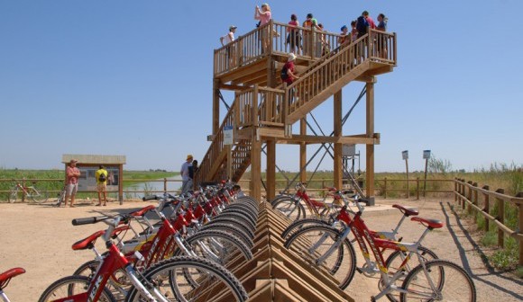 Espai preparat pel turisme al Delta de l'Ebre. Foto: Amposta Turisme