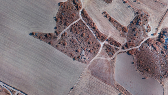 Paisatge agrícola de la plana de Lleida. Foto: Lluís Brotons.