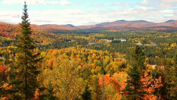 Parc Régional de la Forêt Ouareau (Canadà). Autor: Aitor Ameztegui