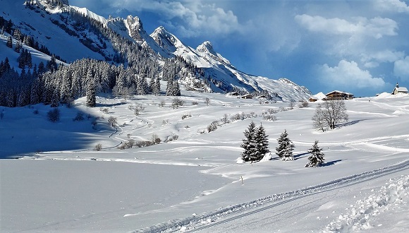 Les nevades a cotes altes, com per exemple en boscos del Pirineu, no són tan problemàtiques. Autor/a: CC0 - Public Domain.