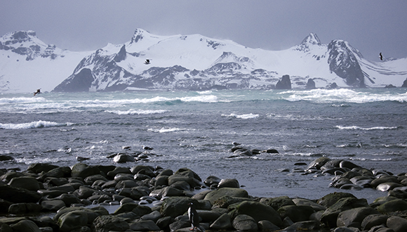 Antarctica