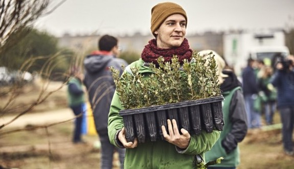 Planting with volunteers, as part of the project