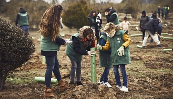 Planting with volunteers, as part of the project