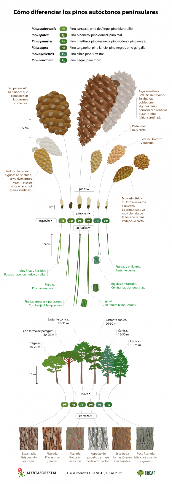 Compara_Pinos_ESP_v3