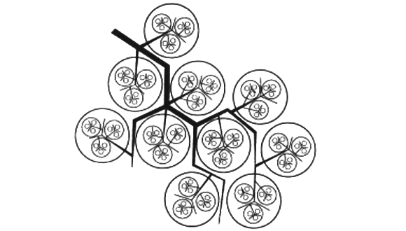 Representació fractal d'un relleu i un sistema de drenatge, per Ramon Margalef. Font: Ramon Margalef. “Teoría de los Sistemas ecológicos”. Publicacions de la Universitat de Barcelona, 1991.