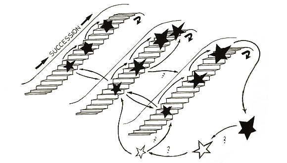 Sistema d'escales com a model per a l'adherència de l'evolució sobre la successió, per Ramon Margalef. Font: Trends in ecological research for the 1980's. NATO, NY., 1984.