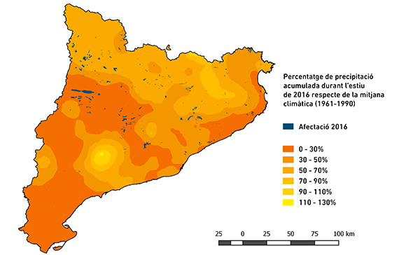 Mapa del percentatge de precipitació acumulada durant l’estiu del 2016 respecte la mitjana climàtica (1961-1990). Sobreposades en blau, les zones de bosc afectades el 2016. Font: DeBosCat