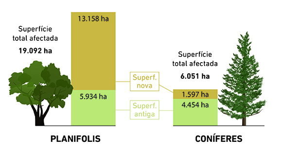 Superfície afectada total, nova i antiga de planifolis i coníferes. Font: DeBosCat 