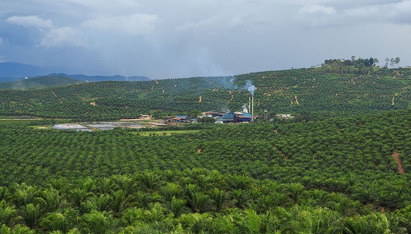 District-Kunak_Sabah_Baturong-Palm-Oil-Mill