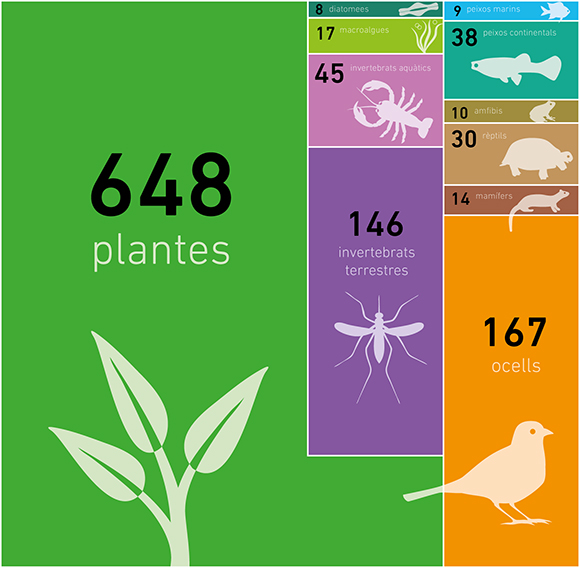 Exotic species in Catalonia by organism groups. Source: EXOCAT