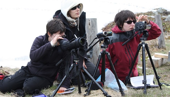 Equipo europeu, entre ellos Mariona Ferrandiz, observando las marmotas. Crédito: Mariona Ferrandiz.