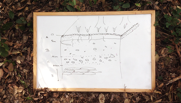 Esquema del sòl analitzat de la sortida a la Terra Negra, el 2015. Autor: Jordi Corbella