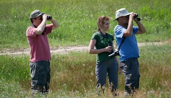 New European Breeding Bird Atlas, a milestone for biodiversity research and nature conservation