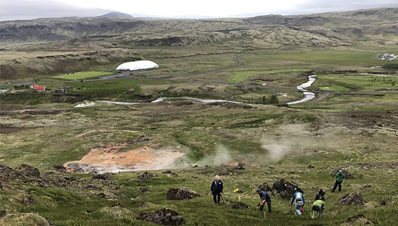 Investigadores del consorcio ForHot en el suroeste de Islandia, lugar de la investigación. Autora de la foto: Sara Marañón, investigadora del CREAF.