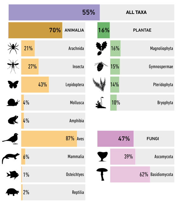 Percentage of GBIF data provided by citizen science. 70% of the data on animal biodiversity come from citizen scientists, in part thanks to the tremendous popular interest in birds and butterflies. Citizens also contribute a lot of information on fungi, but do not contribute very much on plants.