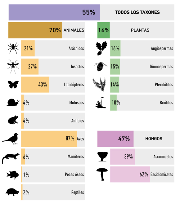 Porcentaje de datos del GBIF que provienen de la ciencia ciudadana. El 70% de datos sobre biodiversidad animal proviene de la ciudadanía, sobre todo por el gran interés que existe por los pájaros y las mariposas. La gente también aporta mucha información sobre setas, pero no tanta respecto las plantas. 