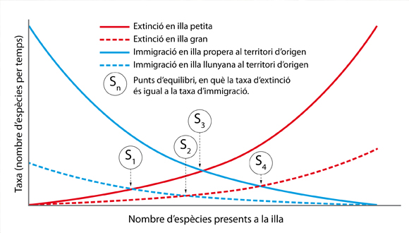 Gràfic d'immigració i extinció d'espècies segons la teoria dinàmica de MacArthur i Wilson.