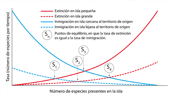 Tasas de inmigración de nuevas especies y extinción de especies insulares en función del número de especies presentes en la isla, el tamaño de la isla y la distancia al territorio de origen de las nuevas especies. Fuente: elaboración propia a partir de diversas fuentes. Fuente original: MacArthur y Wilson.