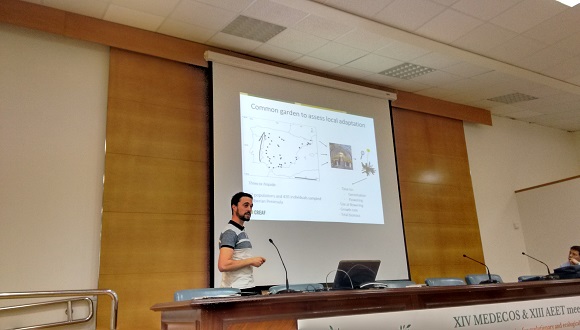 Presentación de parte de los resultados de su tesis en el congreso MEDECOS & AEET meeting en Sevilla (febrero 2017)