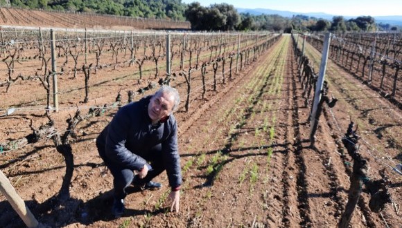 Jordi Sardans a la finca de Jean Leon