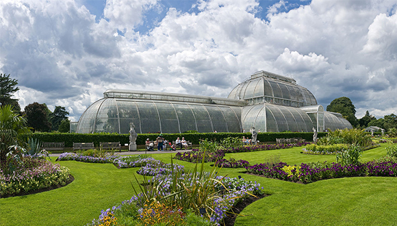 Edifici Palm House del Kew Gardens, a Londres. Autor: (CC BY-SA 3.0) David Iliff