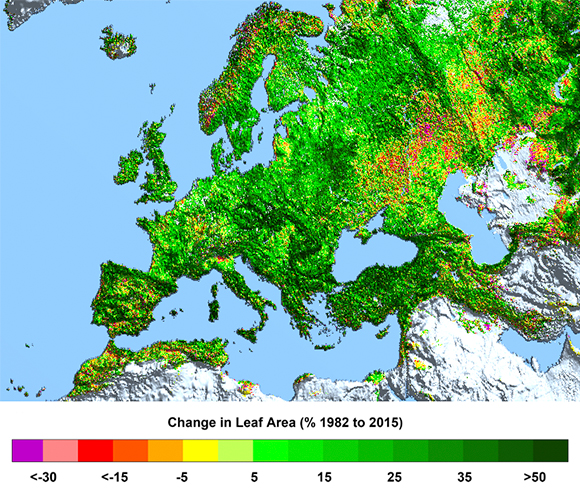 Detall d’Europa del canvi de la superfície foliar en percentatge, des de 1982 a 2015. Autor: Ranga B. Myneni, Universitat de Boston