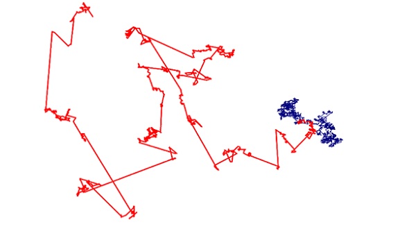 Dos tipus de moviment aleatoris: brownià (blau) i de Lévy (vermell). Autor: Frederic Bartumeus