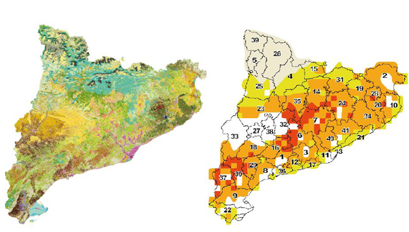 Mapa de Cobertes del Sòl de Catalunya