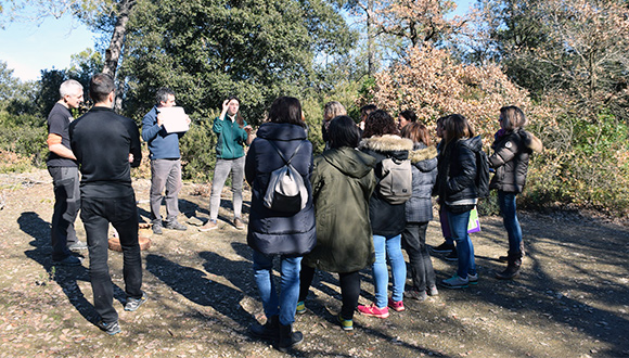 L'Eduard, el Bernat, la Laura i el José Luís en un moment de la trobada amb el claustre de mestres de l'escola Peramàs.Maestros de la escuela Peramàs escuchando cómo se puede relacionar el crecimiento de los árboles con el clima