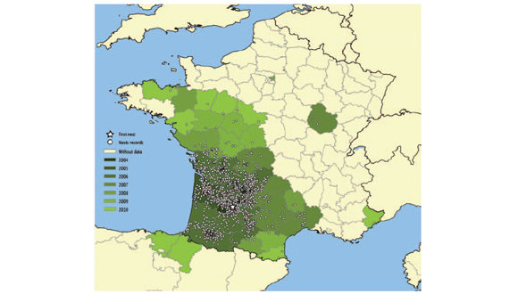 Mapa de la distribució i rang d'invasió de Vespa velutina a França i Nord d'Espanya. Dades del 2011. 