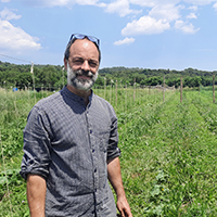 agricultura regenerativa