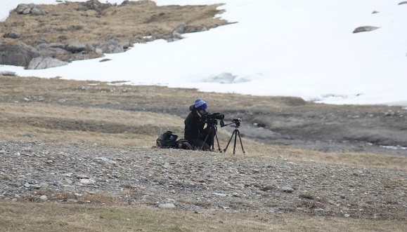 Mariona Ferrandiz durante la expedición para estudiar las marmotas alpinas y sus dialectos. En este caso, observando su comportamiento a través de un telescopio terrestre. Crédito: CREAF.