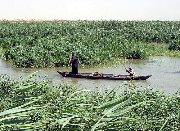 Marsh_Arabs_in_a_mashoof