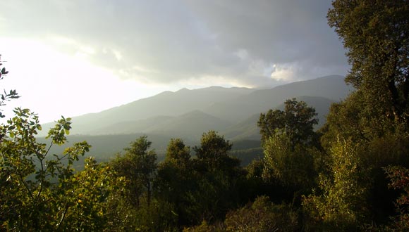 Vistes del Montseny (foto:CREAF)