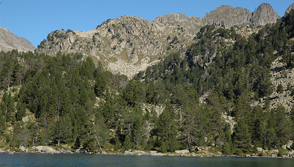 L'OPCC ajuda adaptar el Pirineu al canvi climàtic