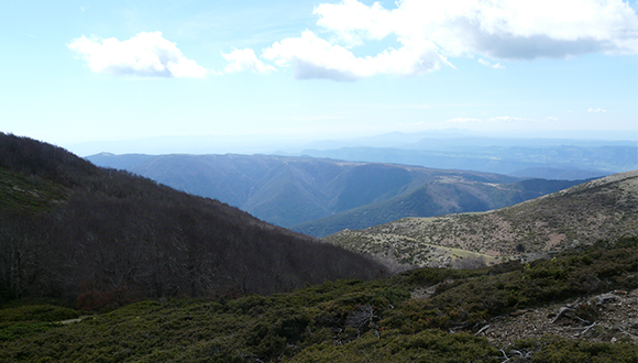 El Pla de la Calma vist des del Matagalls, al Parc Natural del Montseny, zones on s'està tornant a la ramaderia tradicional per recuperar les poblacions d'aus afectades. Autor: Pere López (CC BY-SA 3.0)